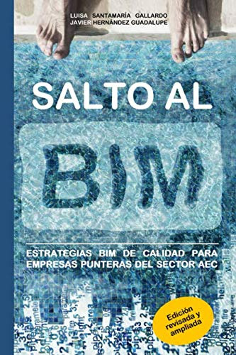 Salto Al Bim: Estrategias Bim De Calidad Para Empresas Punte