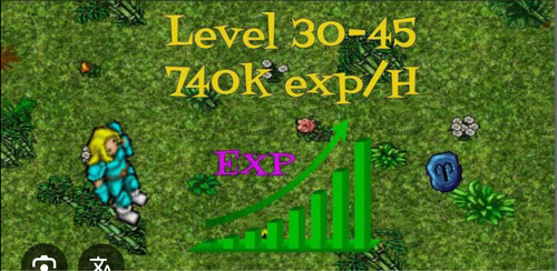 Level Up Tibia