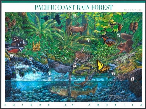Costa Del Pacífico De La Selva Tropical (naturaleza De Améri