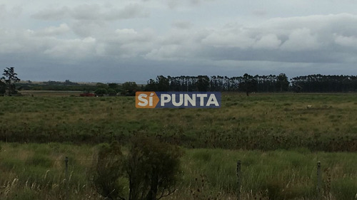Imagen 7 de 13 de Campo En Garzón Venta Turístico