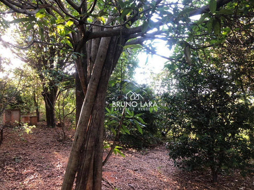 Imagem 3 de 14 de Lote A Venda Em Igarapé Bairro Jardim Colonial - Te0224