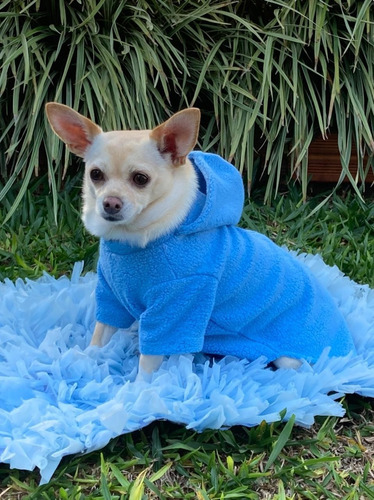 Capa Azul Com Capuz Para Pet - Roupas Para Cães