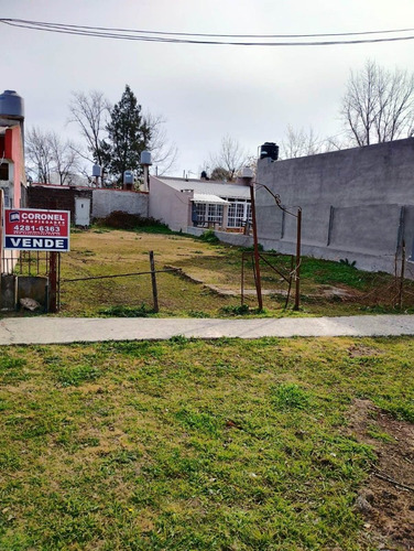 Imagen 7 de 7 de Venta - Lote 10 X 35 - Tristan Suarez