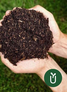Tierra Negra Por Metro | MercadoLibre 📦 Tierra Negra Por Metro | MercadoLibre 📦