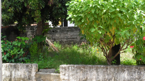 Imagem 13 de 13 de Casa- Vila Regina - 791