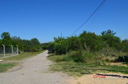 Imagen 6 de 14 de Lote De 830m2 En Zona Alta De Carpintería!