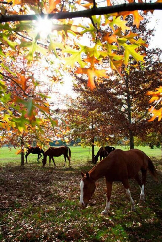 Oportunidad(retasado)venta Lote El Campo Cardales