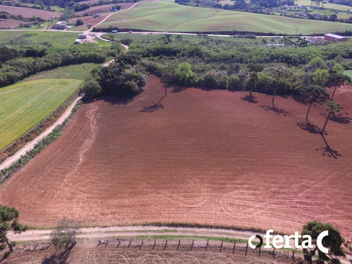 Imagem 5 de 14 de Chacara - Campo Redondo - Ref: 165 - V-165