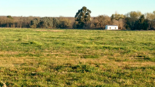 Campo En Venta En San Eladio, Buenos Aires.