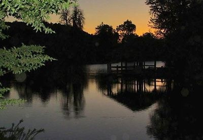 Imagen 2 de 9 de Sitio En Venta A 42 Km De Curicó A La Cordillera