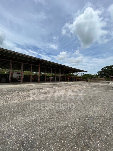 Imagen 15 de 30 de En Venta Hermosa Finca