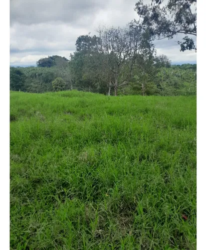 Venta Finca Montenegro Sector Vereda Pueblo Rico - 11 Cuadras