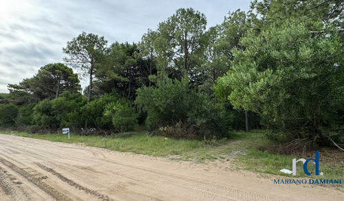 Lote En Venta En Pinamar Zona Norte Playa