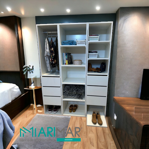 Interior De Placard En Modulos 0,60 M .. Fabrica Color B