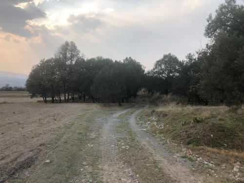 Se Vende Terreno En Tlaxcala