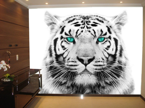 Papel De Parede Animais Tigre Branco Preto 5m² Anm08