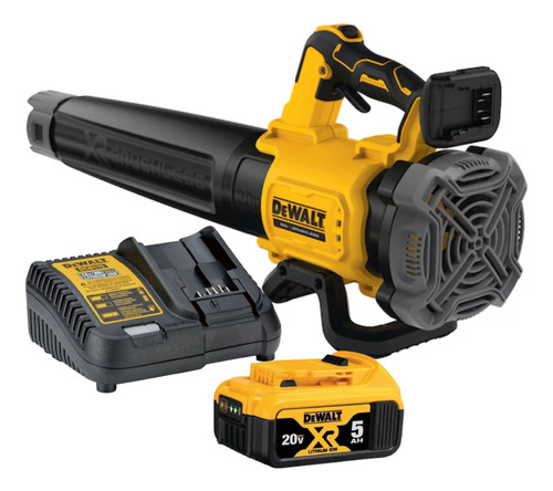 Soprador De Folhas A Bateria 20v 5ah Xr Dcbl722 Dewalt Biv