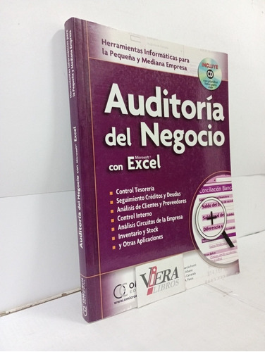 Auditoría Del Negocio Con Microsoft Excel - Garcia Fronti