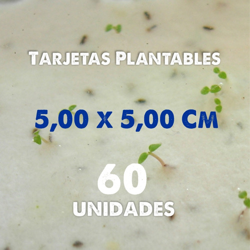 60 Tarjetas Plantables 5x5 Recicladas (ec24) - Elarea18