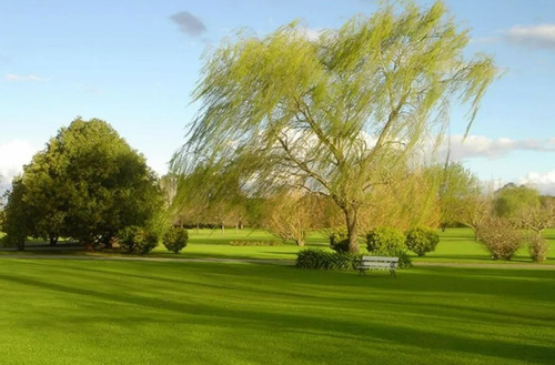 Imagen 3 de 10 de Parcela Jardín De Paz Pilar Sector Fresnos Dueño Directo - Escucho Ofertas!