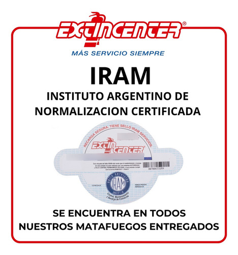 Recarga Matafuego Vtv Auto Vehicular Mantenimiento Automovil