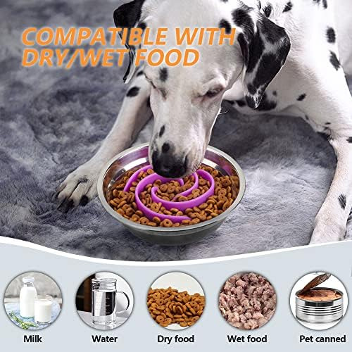 Inserto De Cuencos Para Perros Con Comedero Lento, Cuenco De
