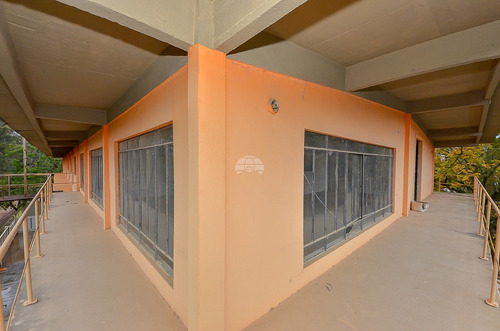 Imagem 14 de 30 de Barracão - Comercial - 927583