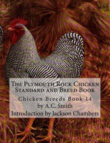 The Plymouth Rock Chicken Standard And Breed Book Chicken Br