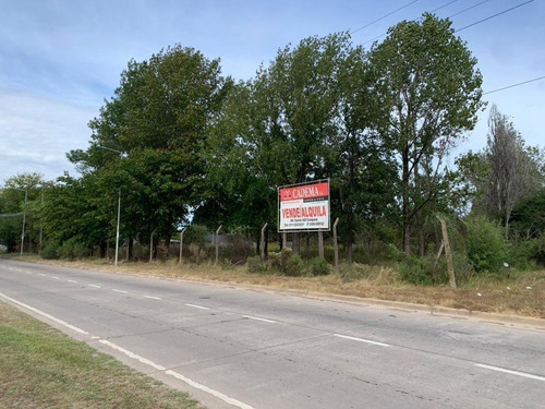 Imperdible Terreno Sobre Panamericana A La Venta O Alquiler En Campana, G.b.a. Zona Norte, Argenti
