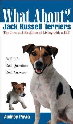 What About Jack Russell Terriers? - Audrey Pavia