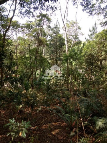 Imagem 16 de 17 de Terreno 40x43 Em Suzano-sp - Ter06