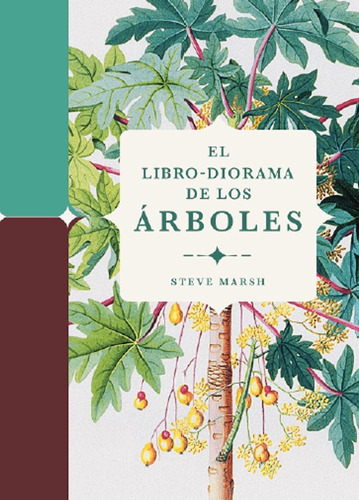 Libro-diorama De Los Arboles, El, De Steve Marsh. Editorial Folioscopio, Tapa Blanda, Edición 1 En Español