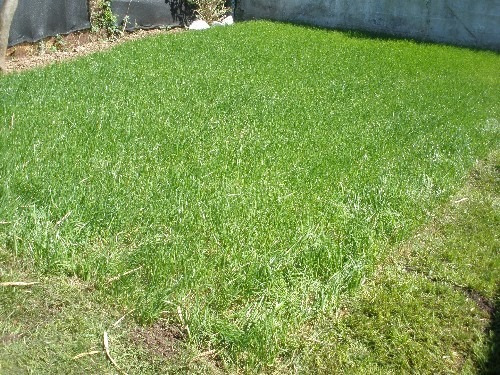 Imagen 10 de 12 de Venta Apartamento 2 Dormitorios Y Terreno Curva Maroñas