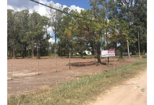 Imagen 7 de 18 de Venta Funes Terreno Arbolado 31428 M2