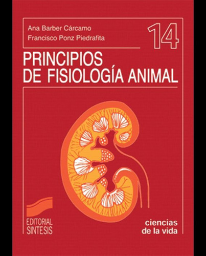 Princípios De Fisiologia Animal, De Barber Carcamo, Ana. Editorial Sintesis, Tapa Blanda, Edición 1.0 En Español, 1998