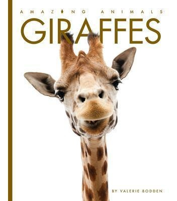Giraffes - Valerie Bodden (bestseller)