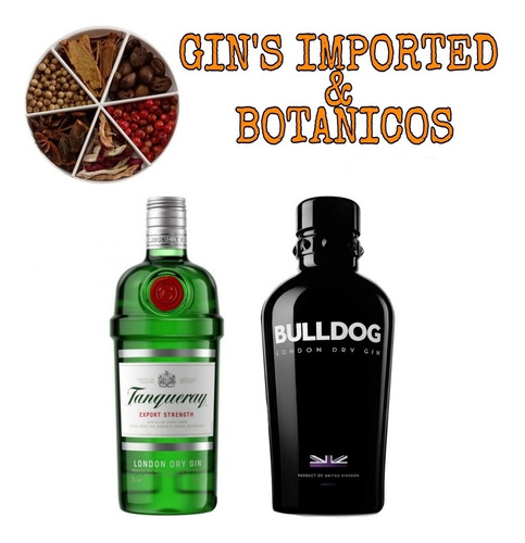 Gin's Importado  + Pack Mixologia Botánicos De Regalo.