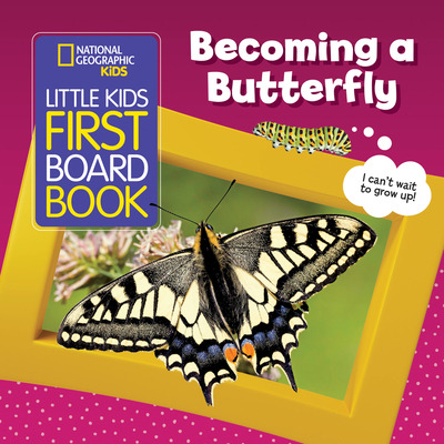 Libro Little Kids First Board Book: Becoming A Butterfly ...