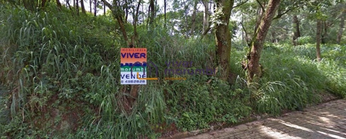 Imagem 7 de 10 de Terreno Residencial - Nm3788