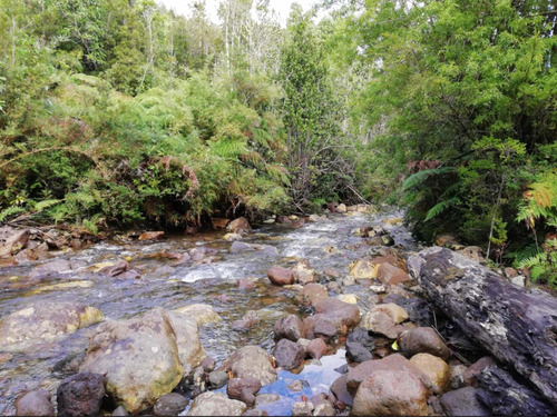 Imagen 5 de 23 de Venta De Parcela Parque Pudu, Puerto Varas Desde Uf.990