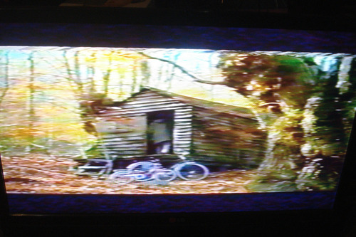 Vhs La Educación De Las Hadas ( Ricardo Darín, 2006) (Usado)