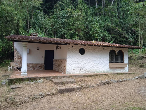 Casa En Mérida 