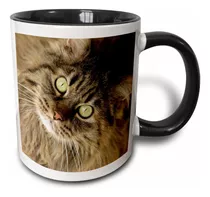 Comprar 3drose Maine Coon Cat, Santa Fe, Nuevo México, Ee. Uu. 32 Jm