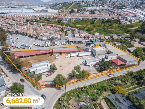 Bodega Comercial En Renta En Alamar