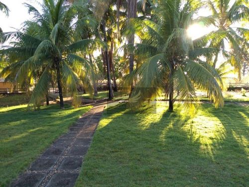Imagem 6 de 8 de Fazenda À Venda, 29040000 M² Por R$ 20.000.000 - Zona Rural - São João Da Aliança/go - Fa0019
