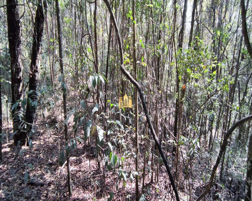 Imagem 5 de 8 de Fazendinha Em Esmeraldas - Te00411 - 70057894