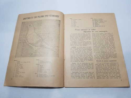 Imagen 4 de 9 de Antigua Revista Mundo Colombofilo N° 2 1951 Mag 57942