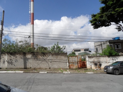 Imagem 6 de 6 de Terreno A Venda No Parque Cruzeiro São Miguel Paulista - 490