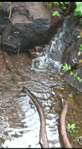 Imagen 1 de 30 de Se Vende Finca De 154 Manzanas