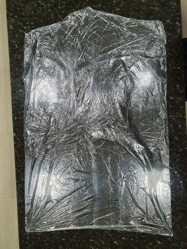Imagen 5 de 7 de 100 Cubre Polvo Tipo Bolsa Tintoreria 60/90cm